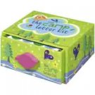 The Camp Letter Kit by Lili Chantilly (2005) NEW!!