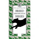 Breed Identification Series: Toy Group (Volume 5) by The American Kennel Club