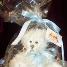 Dipped Scraggle Long Hair Teddy Bear, Baby Powder Boy