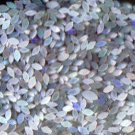 50 pieces natural opals from Sri Lanka in Marquise cut.FREE shipping.