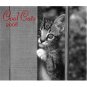 COOL CATS * 2008 * 20 MONTH WALL CALENDAR * NEW & SEALED!