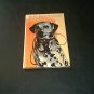 DALMATIONS Dog Care Book HC PISANO EXC COND! RARE 1980