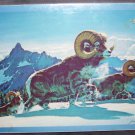 Eddie Bauer ROCKY MOUNTAIN BIGHORN Jigsaw Puzzle 1971 NEW IN BOX! 550 Pieces
