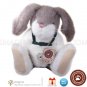 Retired Boyds Bears Rabbit BENSON T. HOPABOUT Boyd Bunny Collector Plush Style # 916503 New w/ Tags