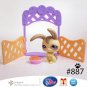 Littlest Pet Shop LPS Yellow & Brown Long Eared Bunny Rabbit # 887 with Accessories