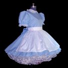 Blue Gingham Alice Dress