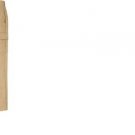 Mens Cargo Pants