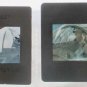 4 PRESS 35mm slides transparencies True Lies Schwarzenegger James Cameron collectible promo