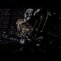 Alien Aliens Alien 3 trilogy 35mm film scans RARE collectible Blu-ray