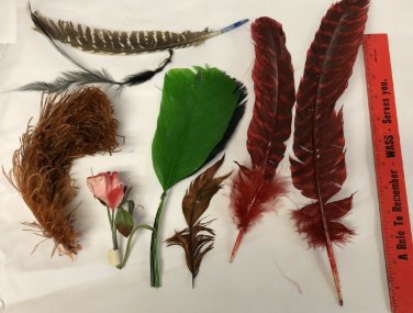 VINTAGE LADIES' MILLENRY HAT FEATHER DECORATIONS 8 PIECES #6