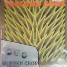 Volcano Suns - Bumper Crop LP
