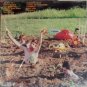 Volcano Suns - Bumper Crop LP