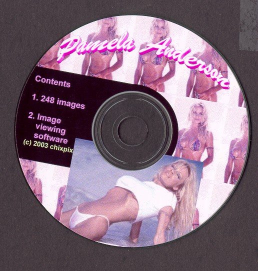 Pamela Anderson 248 Photos Pictures BIKINI