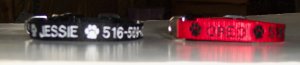 PERSONALIZED DESIGNER  dog collar PET ID name and phone