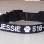 PERSONALIZED DESIGNER  dog collar PET ID name and phone