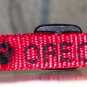 PERSONALIZED DESIGNER  dog collar PET ID name and phone