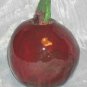 Clay Pottery red Apple Berkeley County West Virginia