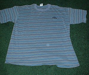 Mens NWOT Size Large Blue Stripes Quicksilver Shirt
