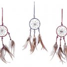EXOTIC WINDCATCHER SET