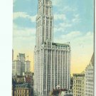 73604 Woolworth Building NY New York City Postcard