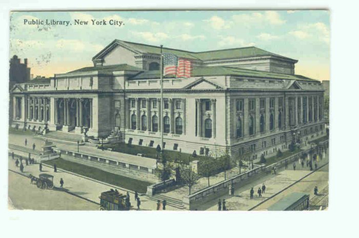 NY New York City Vintage Postcard Public Library 1913