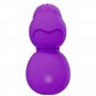 FemmeFunn Nubby Massager Purple
