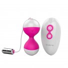 Nalone Miu Miu Vibe/Kegal Exerciser W/RC