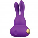 Kama Sutra Rhythm Chari Purple
