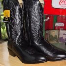 New Dan Post DP2110J Cowboy Boots Men's 11.5 D NIB
