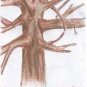 Branches