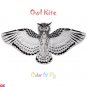 2 Hand=Painted Owl Kites For Kids (DIY-OWL-3C)