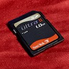 Sandisk Ultra II 1GB SD Flash Memory Card (SDSDH-1024-901)