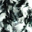 Black And White Feather BOA