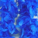 Blue Feather Boa