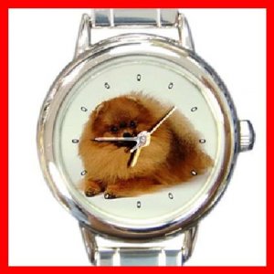 Cute POMERANIAN DOG Pet Round Italian Charm Wrist Watch 287