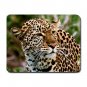 Amur Leopard Animal Mouse Pad MousePad Mat 007