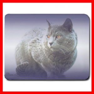 Chartreux Cat Pet Animal Fun Mouse Pad MousePad Mat 015