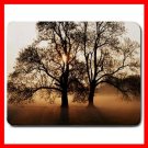 Tree Sunshine Nature Art Fun Mouse Pad MousePad Mat 047