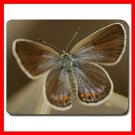Butterfly Art Leisure Hobby Mouse Pad MousePad Mat 059