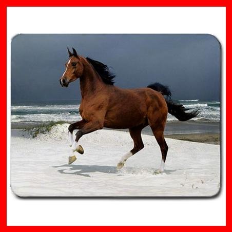 Horse Running On Beach Animal Mouse Pad MousePad Mat 112