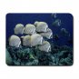 School of Collared Butterflyfish Thailand Fish Mouse Pad MousePad Mat 114