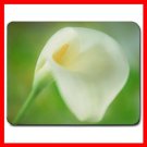 Calla Lily Pure White Flower Mouse Pad MousePad Mat 121