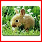 Bunny Rabbit Cute Animal Fun Mouse Pad MousePad Mat 122