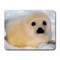 Baby Seal Wildlife Animal Mouse Pad MousePad Mat 125