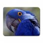 Amazon Parrot Bird Mouse Pad MousePad Mat 129