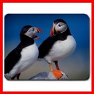 A Pair Of Puffins Wild Bird Mouse Pad MousePad Mat 130