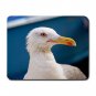 Herring Gull Bird Animal Fun Mouse Pad MousePad Mat 136