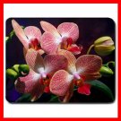 Flowers Orchids Flower Hobby Mouse Pad MousePad Mat 140