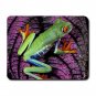 Red Eyed Tree Frog Central America Mouse Pad MousePad Mat 148
