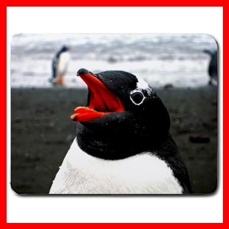 Penguin Wildlife Animal Hobby Mouse Pad MousePad Mat 152